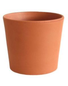Southern Patio Flair Cylinder Clay Pot - 5 in.