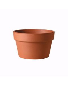 Southern Patio Azalea Clay Pot - 10.5 in.