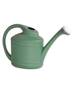 Southern Patio 2 Gallon Watering Can - Fern