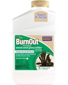 Bonide BurnOut Weed & Grass Killer - Quart Concentrate
